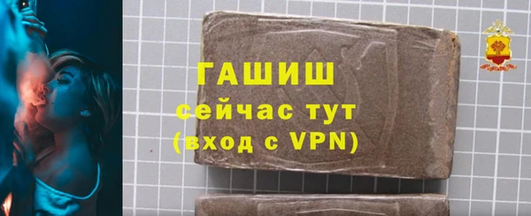 стаф Алзамай