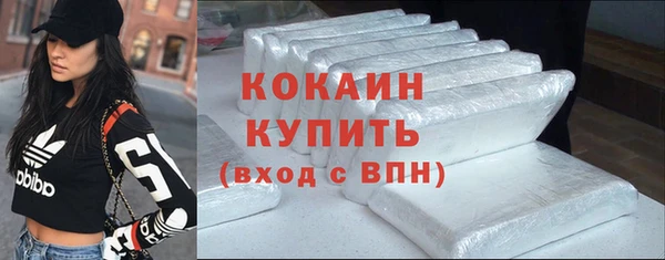 стаф Алзамай