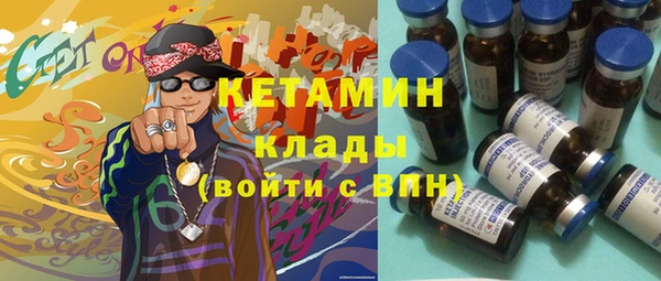 стаф Алзамай