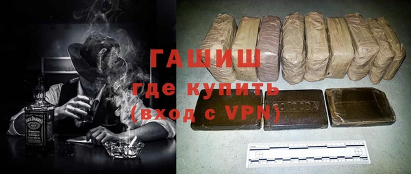 стаф Алзамай